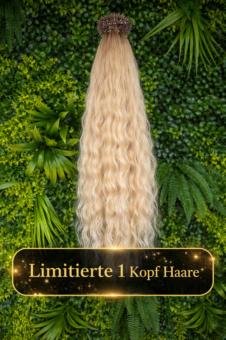 Limitierte 1 Kopf Haare Extensionen | Miss Faty Hair