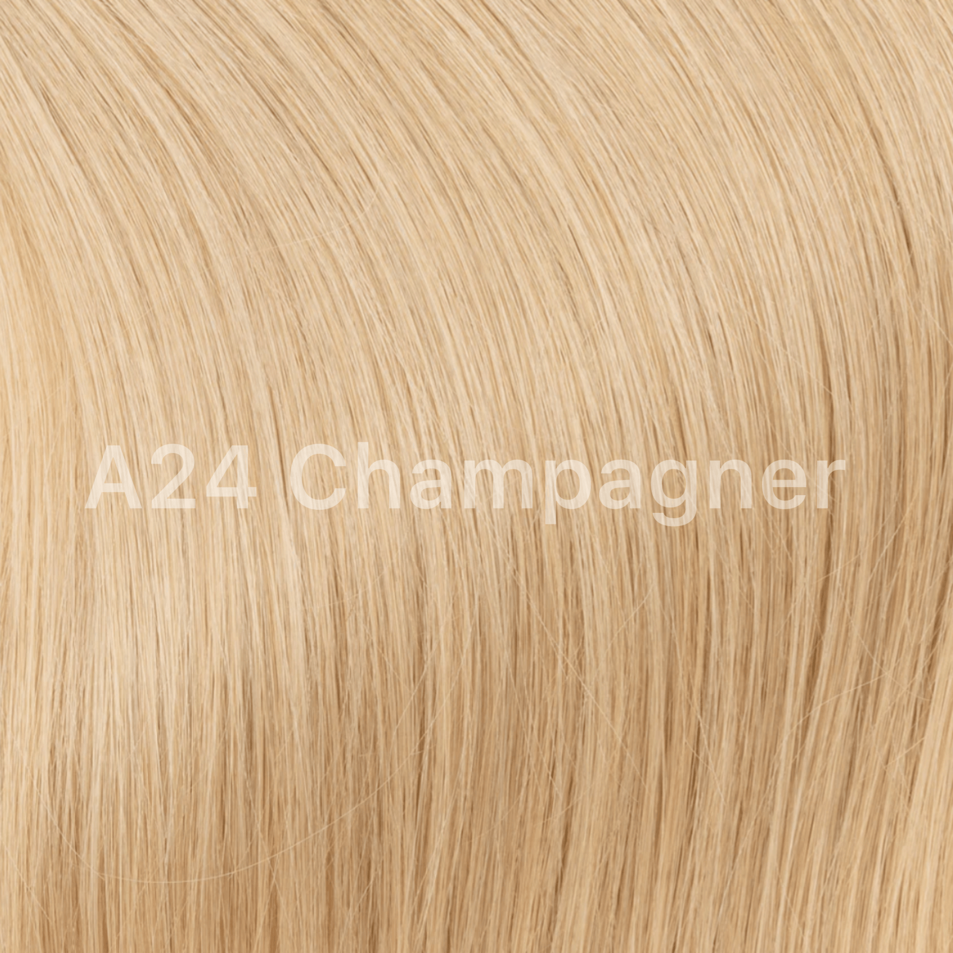 lockige Echthaar-Extensions 65cm in der Farbe A24 Champagner für volles, glänzendes Haar.
